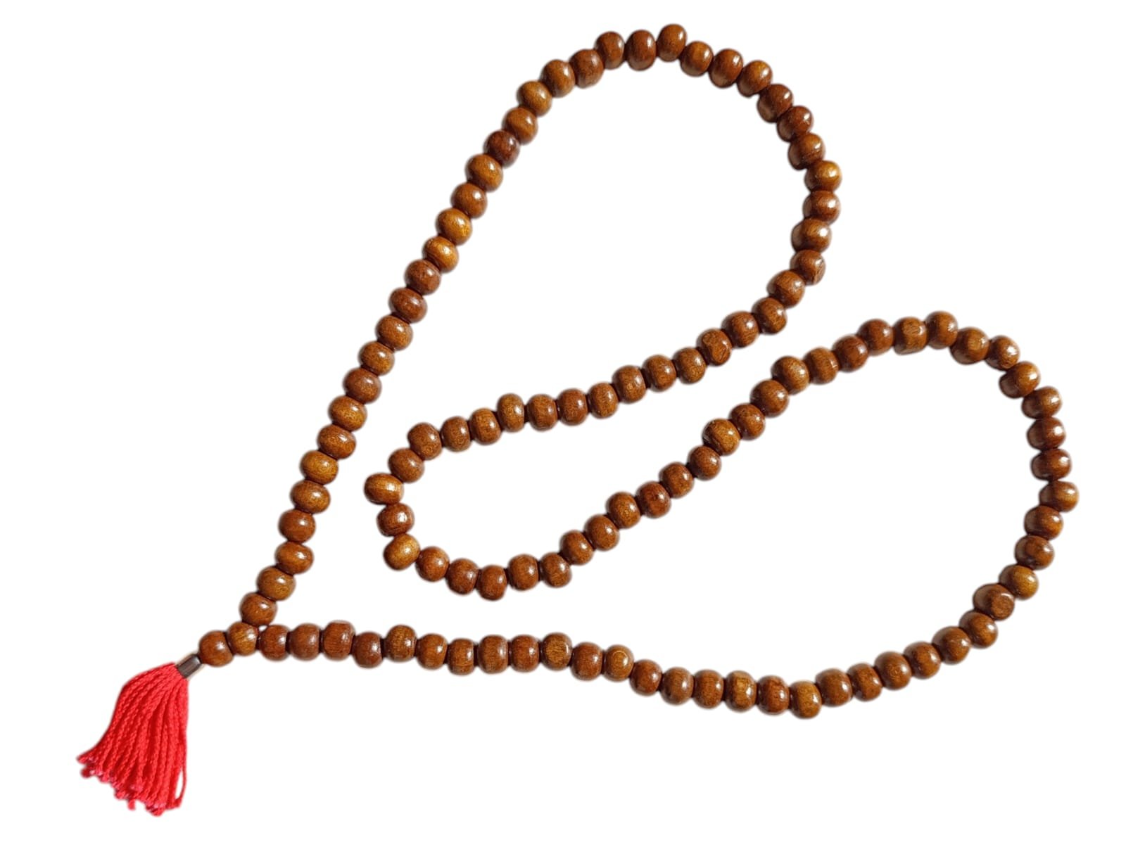 WhatsApp Image 2025-08-27 at 10.49.14 AM