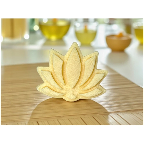 Esencia sólida para hornillo