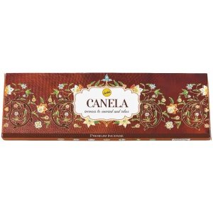 SAH. PRANA CANELA SREE VANI