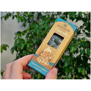 Energía limpia (Limpieza energética)