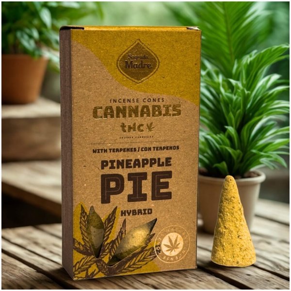 Conos cannabis