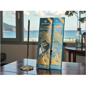 Energía limpia (Limpieza energética)